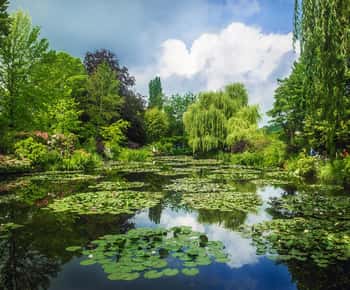 Giverny Private Guided Walking Tour