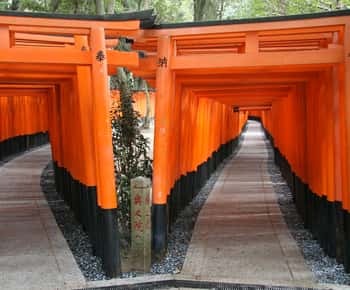 Kyoto: Full-Day Best UNESCO and Historical Sites Bus Tour