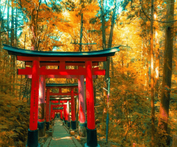 Japan: Private 3, 5, 7, or 10-Day Tour with Driver