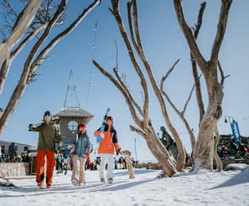 Snöiga tillflyktsorter: Mount Buller Alpina äventyr