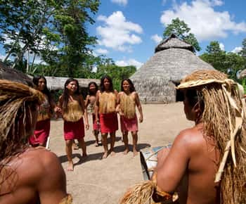 Iquitos | Amazone Tour | 4D/3N in Amazonewoud Jungle