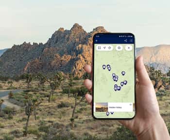 Journey into Joshua Tree: Audio Driving Tour and Local Guide