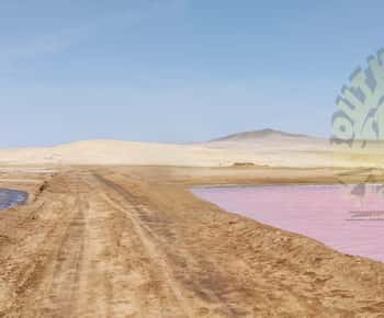 Paracas: Private ture i Paracas National Reserve alt inklusive