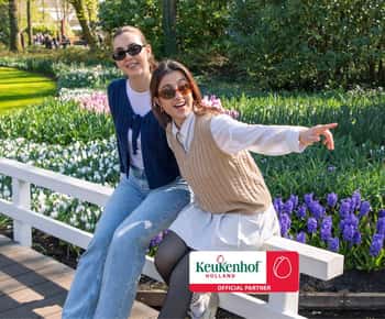 Da Amsterdam: bus navetta per Keukenhof e biglietto d'ingresso