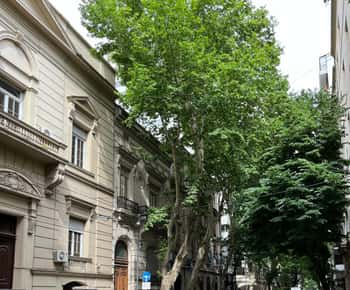Recoleta and Retiro: Secrets of the Wealthy Buenos Aires