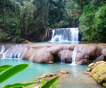 Floyd's Pelican Bar, Ys Falls e Black River Safari Tour