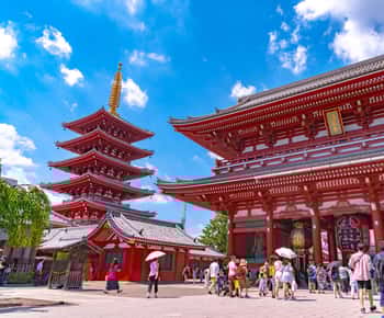 Tokyo Private Tour sightseeing English Speaking Driver