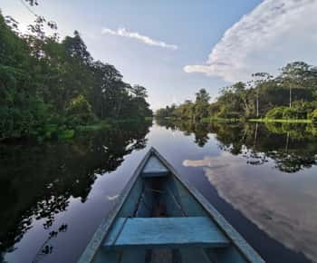 Javari Expedition