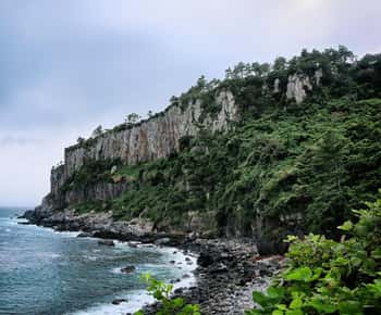 Jeju Island South Route One-day tour (optional attractions)