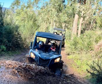 Madeira: Half-Day Off-Road Buggy Tour