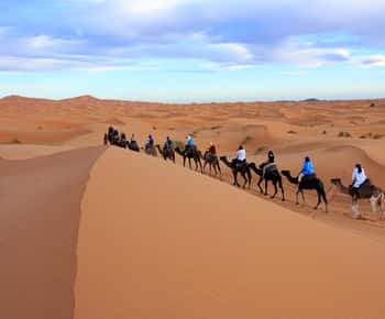 Merzouga: 1-Night in Desert Camp With Dinner & camel ride