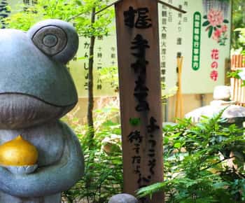 Fukuoka: Beppu Hells HotSpring, Frog Temple & Yufuin DayTrip