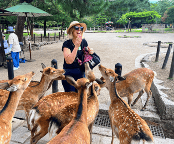 Desde Kioto: Visita guiada matinal a Nara