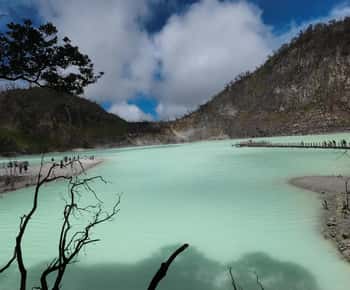 Bandung : Witte Krater, Theeplantage Gids Bandung