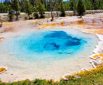 De Bozeman: Excursão de um dia a Yellowstone (circuito inferior)