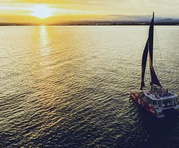 La Grande Motte: İçkili Camargue Gün Batımı Katamaran Turu