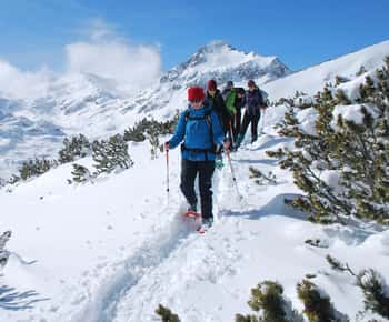 Bansko: Easy snowshoeing Pirin National Park & thermal spa