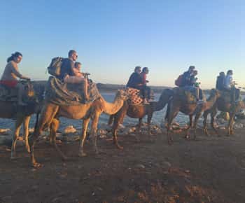 Agadir: Giro in cammello al tramonto con cena BBQ e trasferimento