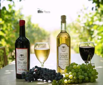 Gjirokastra: vigneto, degustazione di vini e cena con prodotti a chilometro zero