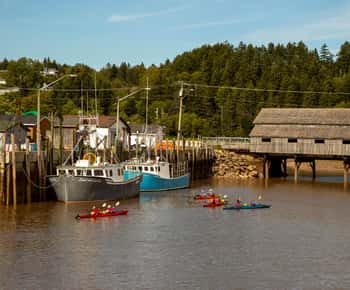 Saint John: Guided Kayaking Tour of St. Martins Sea Caves