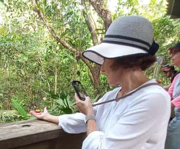 Panama City: Soberania National Park Hiking Tour