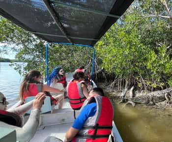 Flamingo tour Rio Lagartos, Yucatan 2 hours