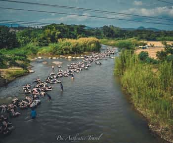 Pai: Excursión Tipsy Tubing por el río con DJ y juegos