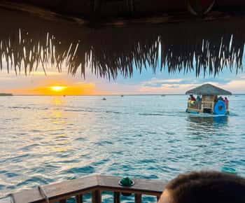 Destin: Sunset Crab Island & Dolphin Tour on Tiki Vessel