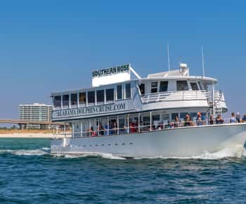 Orange Beach: Croazieră cu delfini