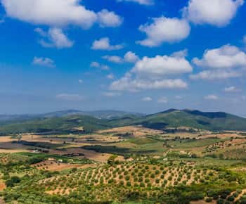 Civitavecchia: Escursione guidata di un'intera giornata in Toscana con degustazione di vini