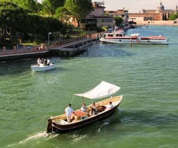 Tortuga Tour: Local Wines and Typical Cicchetti