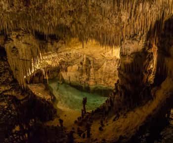 Tingo Maria: Mantle Cave