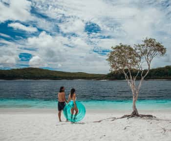 From Rainbow Beach: Small-Group K'gari (Fraser Island) Tour
