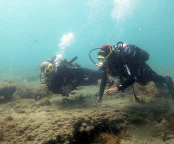 Fuerteventura: Discover Scuba Diving