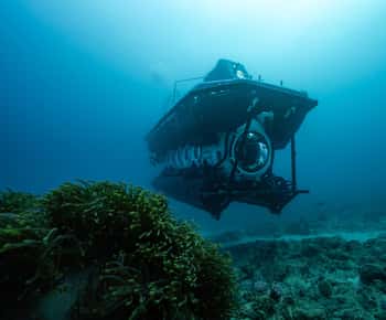 Trou-aux-Biches: Submarine Tour to the Star Hope Wreck