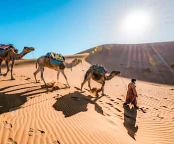 De Fez a Marrakech: tour de 3 días para descubrir el desierto del Sáhara
