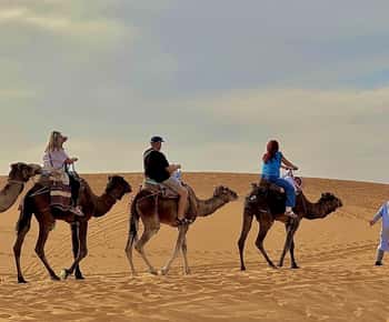 Fra Marrakech: 3-dages ørken med luksuslejr, kamel og måltider