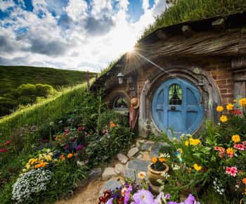 De Auckland: Hobbiton Movie Set - Tour particular