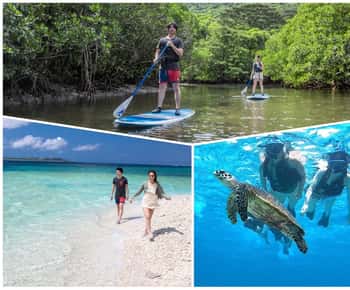 Iriomote Mangrove SUP and Snorkeling at Coral island
