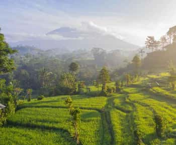EAST BALI TOUR EXCLUSIVE GATE HEAVEN LEMPUYANG TEMPLE