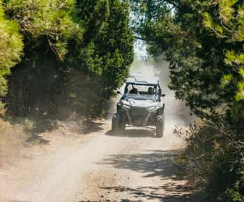 Kremasti: Rhodes 4x4 Polaris Buggy Off-Road Tour