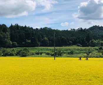 Hiroshima Country Cycling: Explore Rural Life 1 HR from City
