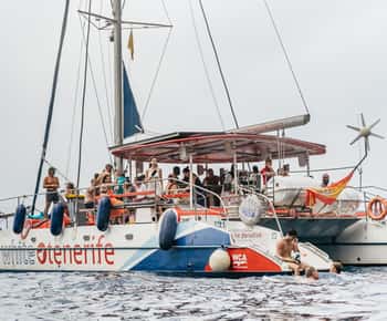 Costa Adeje: Whale & Dolphin Eco-Cruise with Snacks & Drinks