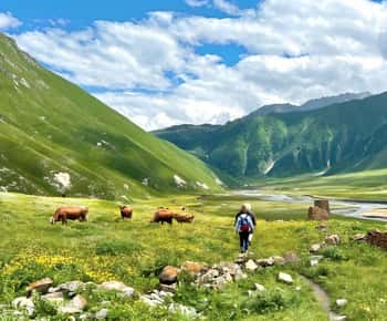 Tbilisi: Kazbegi Gudauri Ananuri and Truso Adventure by 4x4