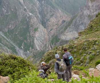 From Arequipa: 2-Day Colca Canyon Trekking Tour