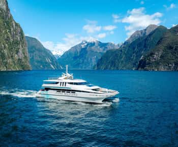 Milford Sound: Nature Cruise on a Modern Catamaran
