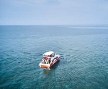 Istrië: Aquavision Glasboot panoramische tour van Umag