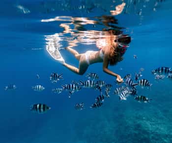 Zanzibar: Blue Lagoon Snorkeling & Starfish Experience