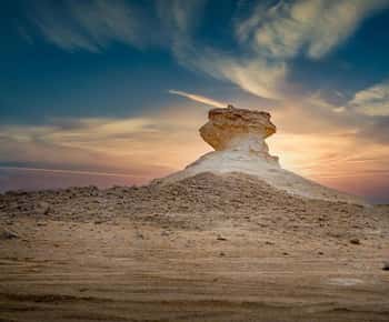 Doha: West Coast Qatar Tour, Sculptures, Camel Racing track