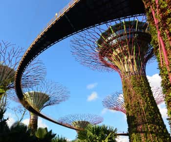Singapore: Tour guidato/fotografia dei Gardens by the Bay